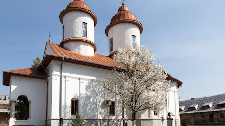Mănăstirea Viforâta, Pucioasa
