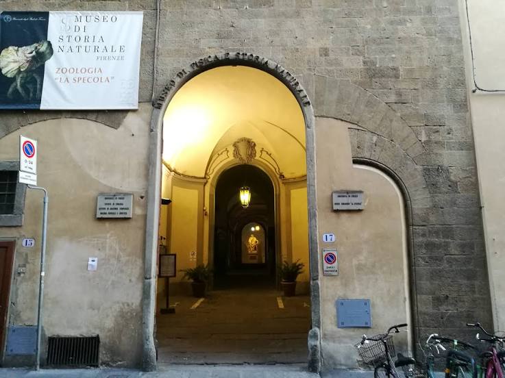 Museo Storia Naturale - La Specola, Firenze