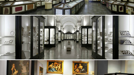 Museo Civico di Modena, Modena