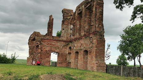 Ruiny Pałacu Opalińskich w Radlinie, 