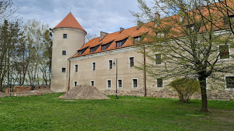 Zamek Krzyżacki w Pasłęku, Pasłęk