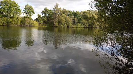 Swanholme Lakes, Lincoln