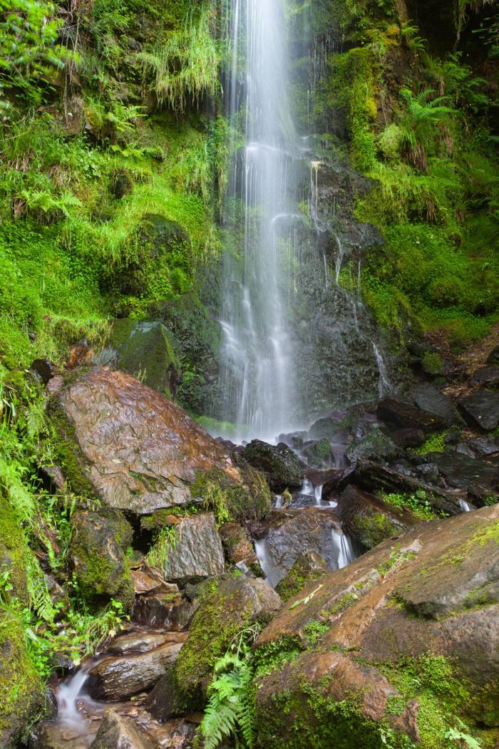 Mallyan Spout Waterfall, 