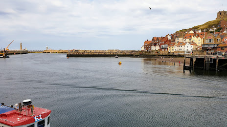 Whitby Whale Watching, 