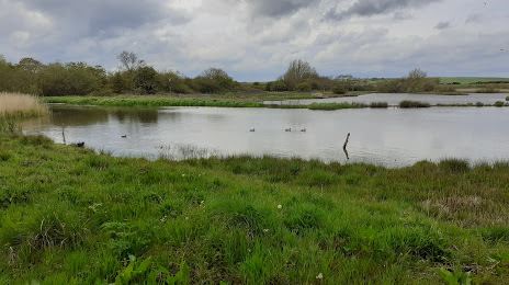 Filey Dams Nature Reserve, Scarborough
