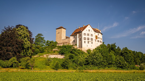 Wildenstein Castle Veltheim, 