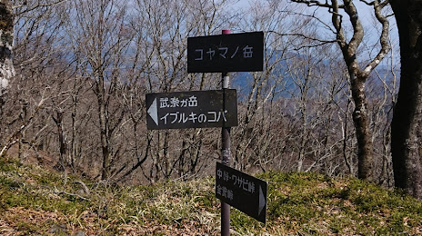 コヤマノ岳, 