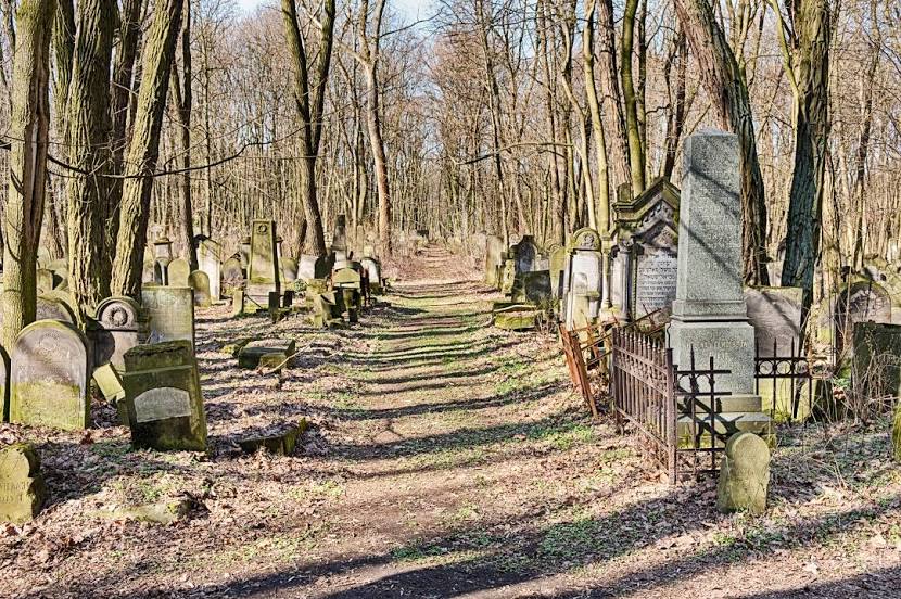 Jewish Cemetery Warsaw, 