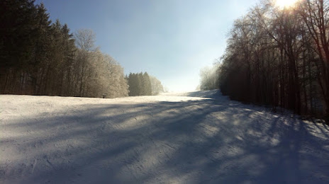 Skizentrum Hirtenteich, Хойбах