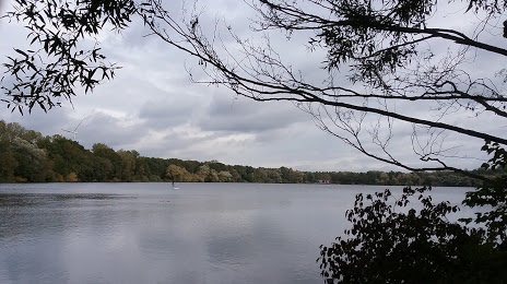 Stadtwaldsee Nature Reserve, 