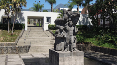 Museum of Art of El Salvador (Museo de Arte de El Salvador), 