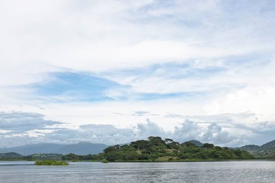 Lake Suchitlán, 