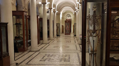 ​Museo di Anatomia Umana Luigi Rolando, Torino