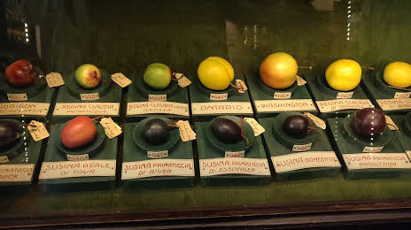 Museum of Fruit Francesco Garnier Valets, Turín