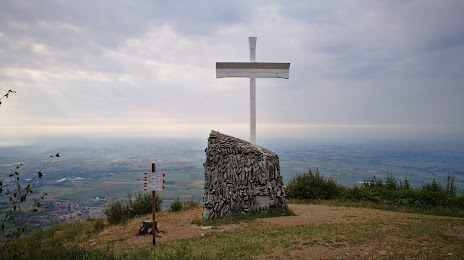 Monte San Giorgio, Piossasco