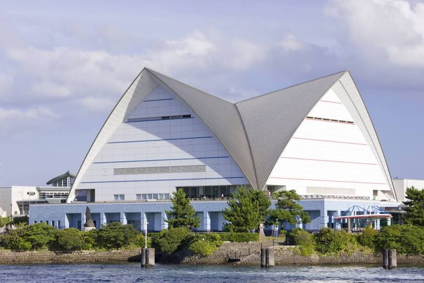 Kagoshima City Aquarium, 가고시마 시