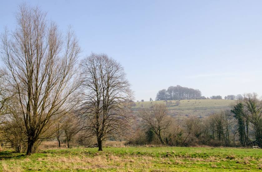 St. Catherine's Hill, Hampshire, Winchester