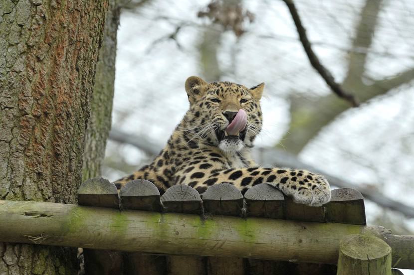 Marwell Zoo, Winchester