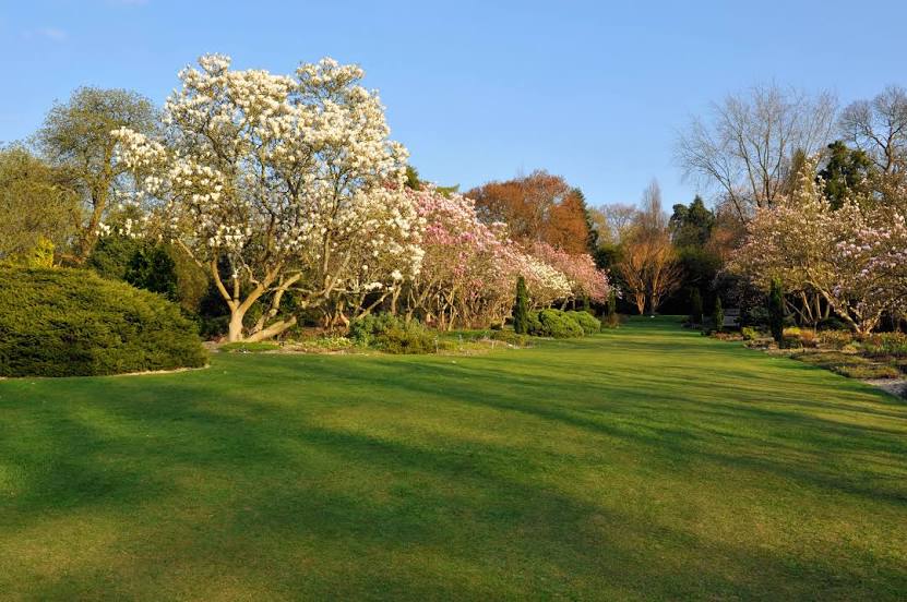 Sir Harold Hillier Gardens, Winchester