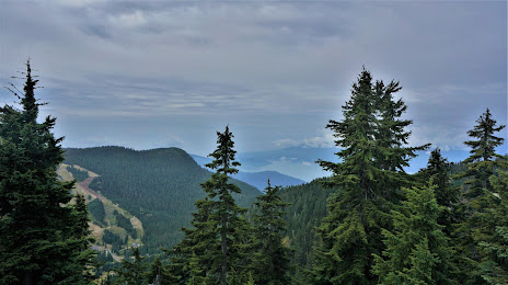 Hollyburn Mountain, West Vancouver
