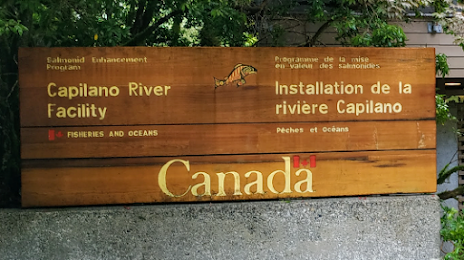 Capilano River Hatchery, West Vancouver