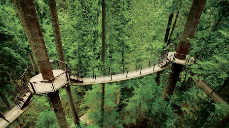 Treetops Adventure, West Vancouver
