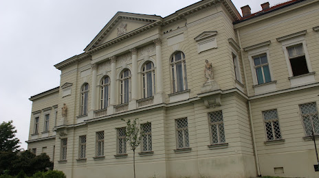 Museum of Srem, Σρέμσκα Μιτρόβιτσα