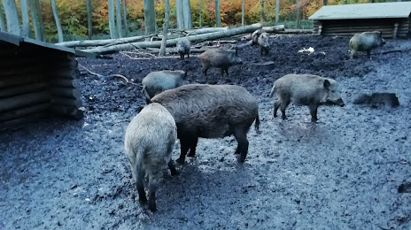 Wildschweingehege, Мюльхайм-на-Руре