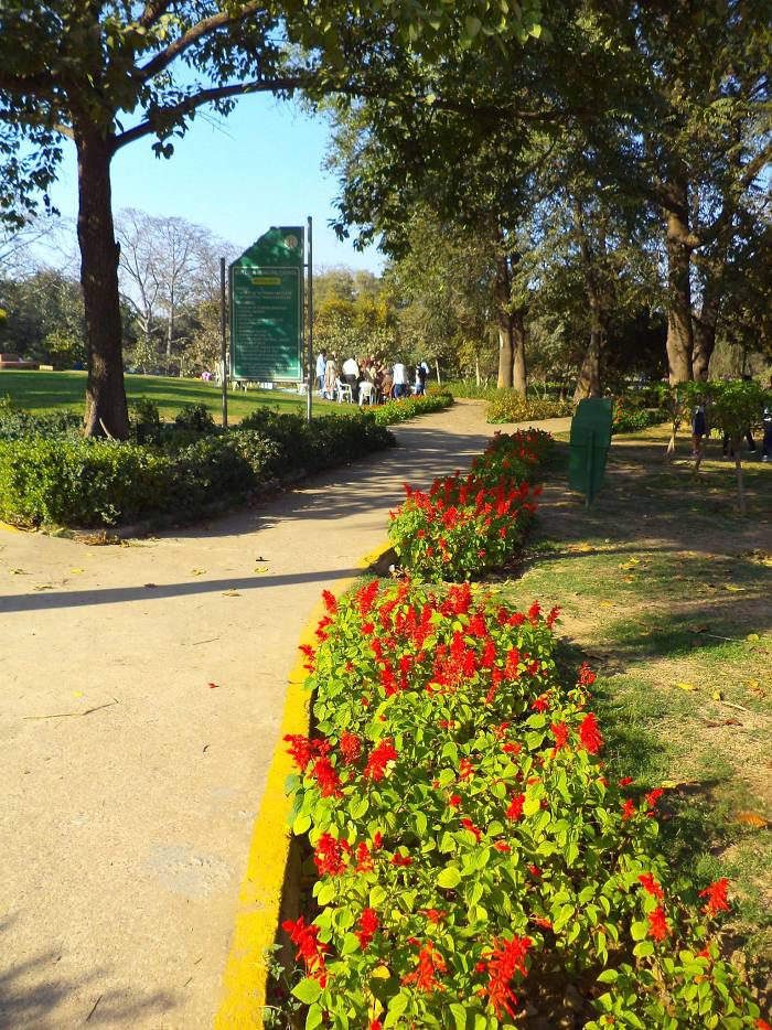 Nehru Park, Delhi, 