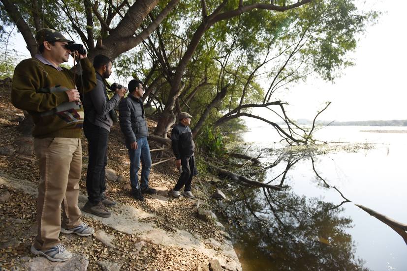 Okhla Bird Sanctuary, 