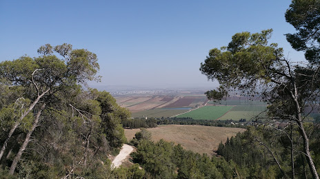 Balfour Forest, Iksal