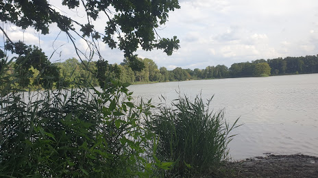Kleiner Maasdorfer Teich, Bad Liebenwerda
