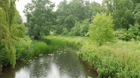 Chelmer Valley Local Nature Reserve, Chelmsford