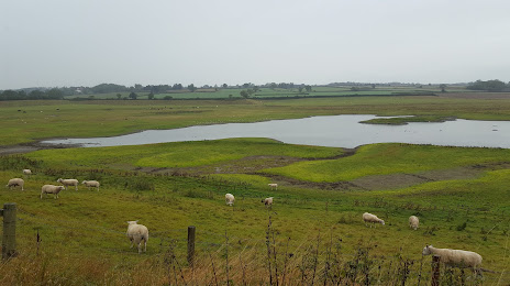 Nosterfield Nature Reserve, 