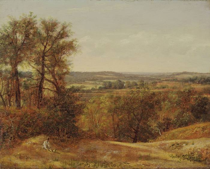 Hilly Fields, Colchester