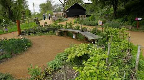 RSPB Flatford Wildlife Garden, Colchester