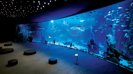 Poema del Mar Aquarium, Las Palmas de Gran Canaria