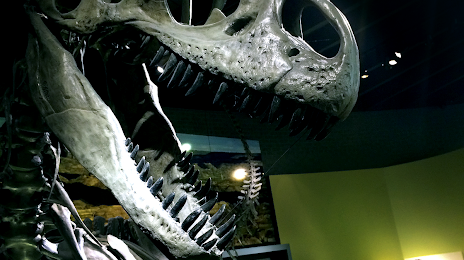 Raymond M. Alf Museum of Paleontology, La Verne