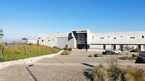 Museo de historia Natural e Histórico de San Antonio MUSA, San Antonio
