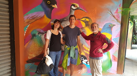 Bird Art Museum, Sololá