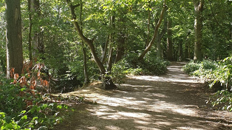 Belfairs Wood, Park & Nature Reserve, Southend-on-Sea