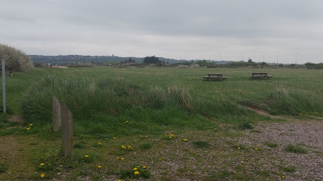 RSPB West Canvey Marsh, Southend-on-Sea