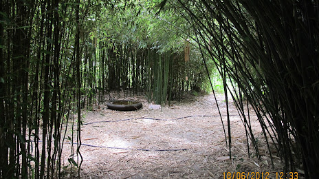 Bambous en Provence, Шаторанар
