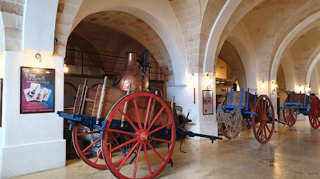The Museum of Primitivo Wine, 