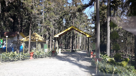 Halumsar Forest Park, Amol