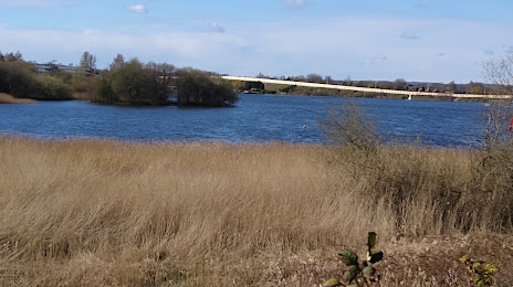 Wigan Flashes Local Nature Reserve, 