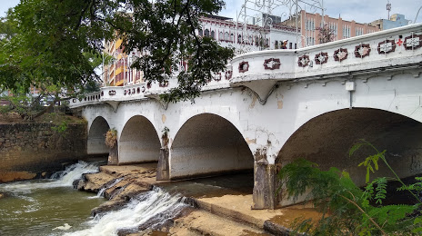 Puente Peatonal Ortiz, 