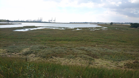 Trimley Marshes, Harwich