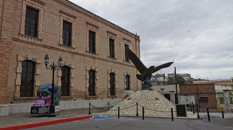 Museo de Las Aves de México, Saltillo