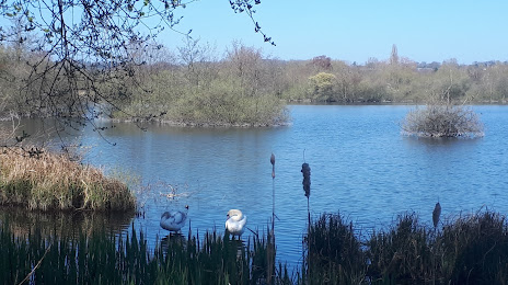 Stocker's Lake Nature Reserve, Watford